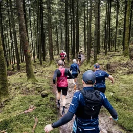 Trail en forêt d'Ecouves