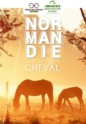 Normandie Destination Cheval