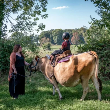 Balade à dos de vache en Suisse Normande
