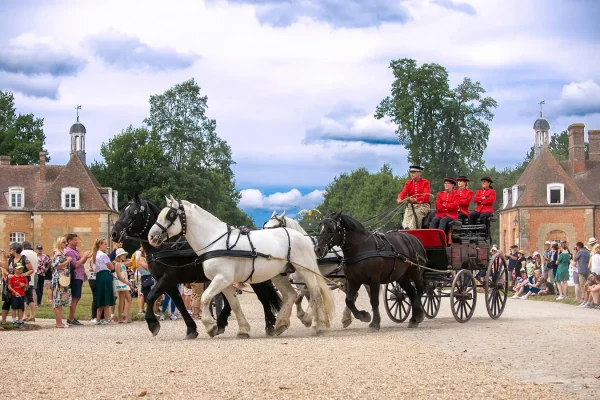 Jeudi du Pin, spectacle équestre