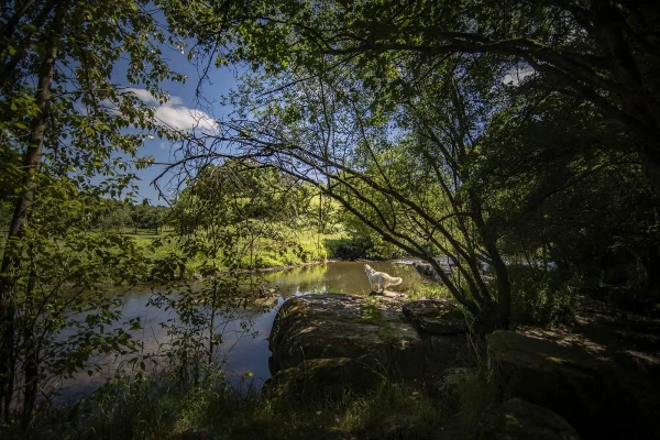 Les gorges de la Vire