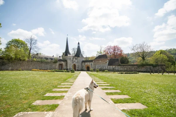Balade avec un chien au Bec Hellouin