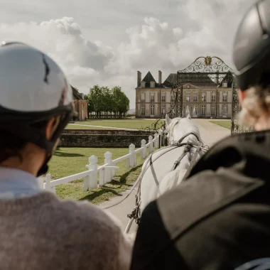 Attelage au Haras National du Pin