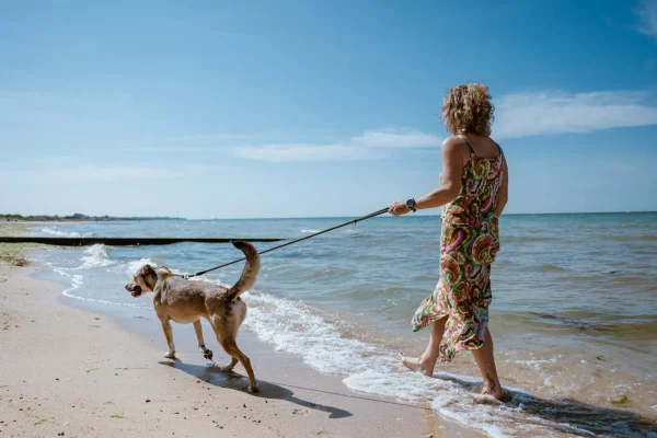 Plage de Bernières-sur-Mer