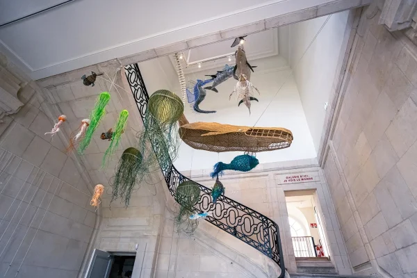 Muséum d'histoire naturelle du Havre