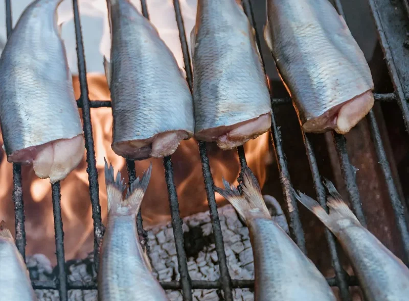 Ouvrir dans la galerie:  Gros plan sur du hareng à la Foire au hareng et à la coquille de Dieppe