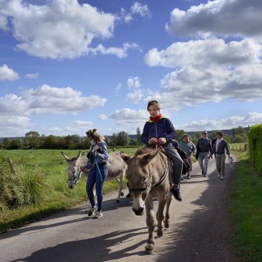 expérience balade à dos d'âne au coeur du Marais Vernier