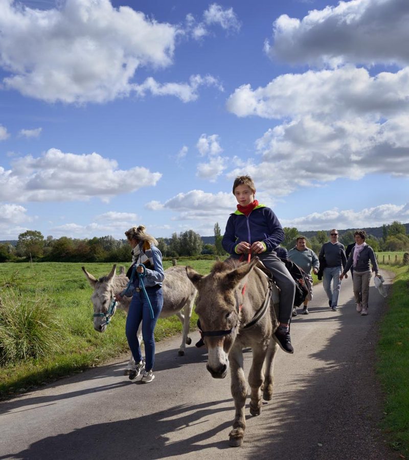 Balade à dos d’âne au cœur du Marais Vernier