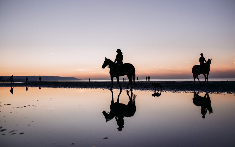 Le cheval en Normandie