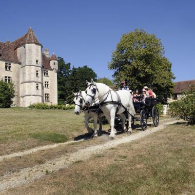 Sortie en attelage dans le Perche