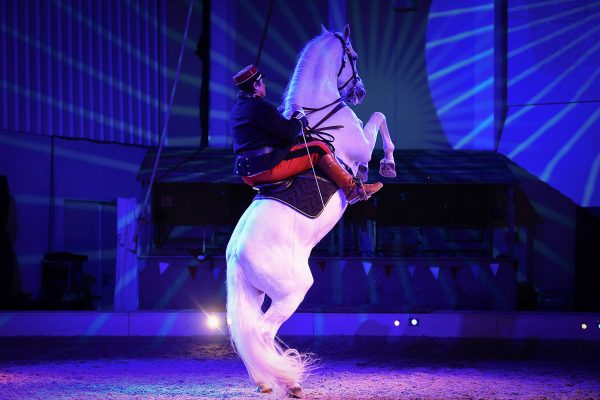 Manège de Tilly