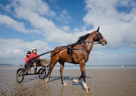 Sulky Expérience sur la plage de Deauville