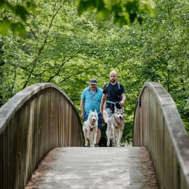 Cani-rando à Saint-Céneri-le-Gérei