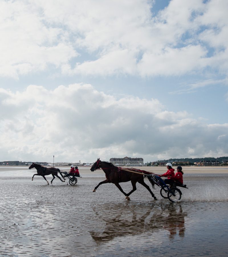 Baptême de trot attelé sur la plage de Deauville