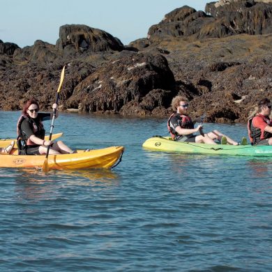 Découverte des îles Chausey en kayak de mer