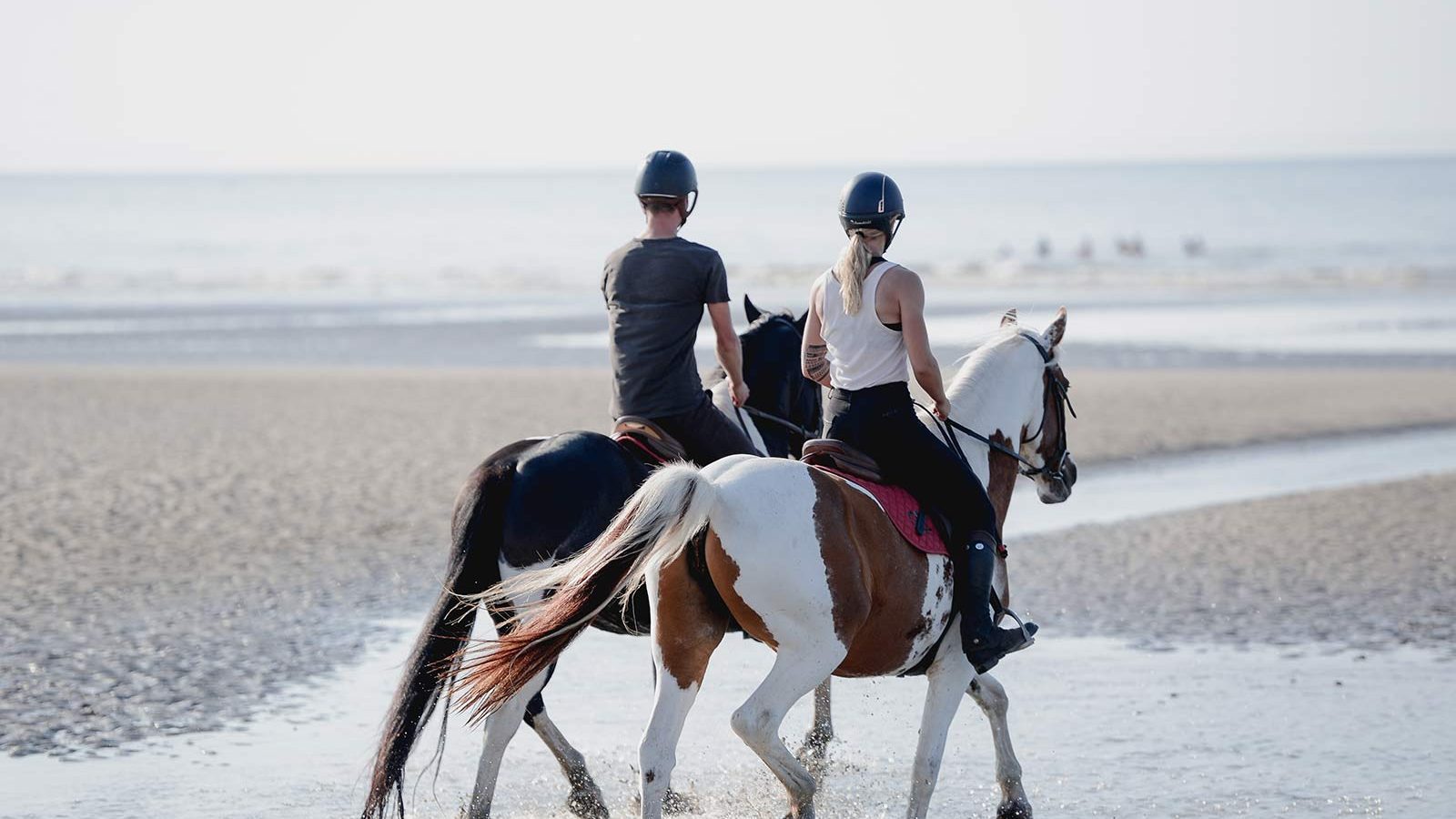 Balade à cheval sur la plage de Cabourg – Normandie Tourisme