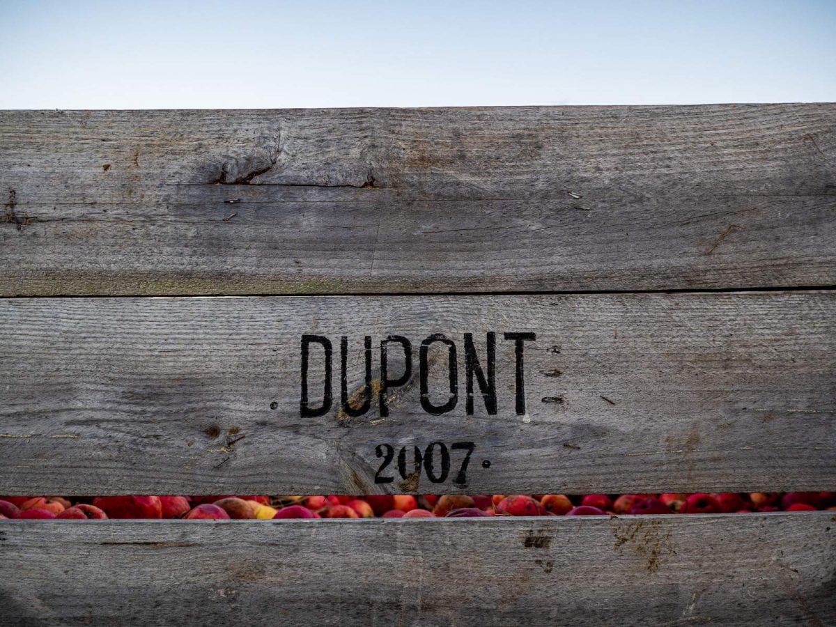Domaine Dupont