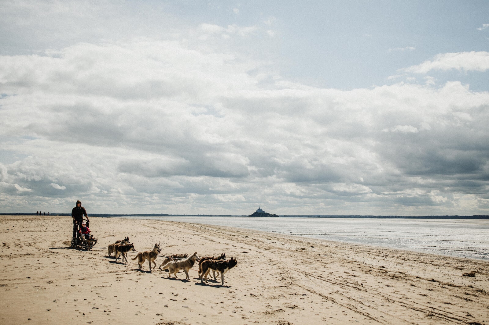 Balade en chiens de traîneau en baie du Mont-Saint-Michel avec Didier