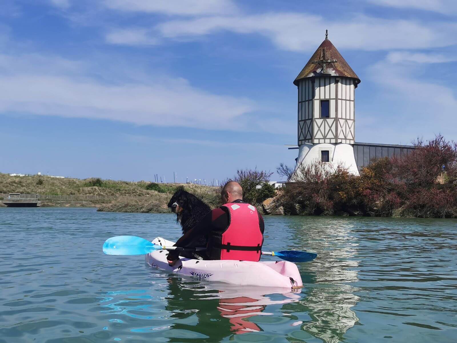 ecole-voile-courseulles-chien-kayak