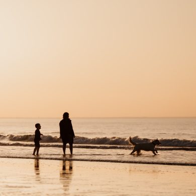 Top 10 des plages où se promener avec son chien, même en été !