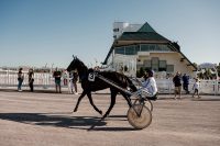 estivales-hippodrome-trot-cabourg-ma-thierry