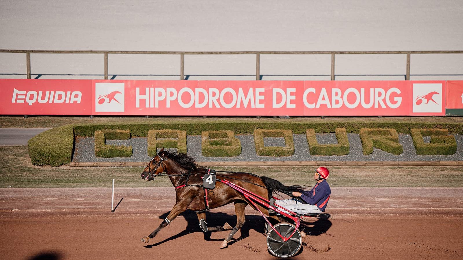 hippodrome-cabourg-estivales-trot-ma-thierry
