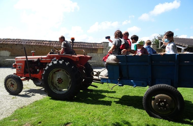 Balade en tracteur vintage - Ferme-musée du Cotentin Du 31 juil au 30 oct 2024