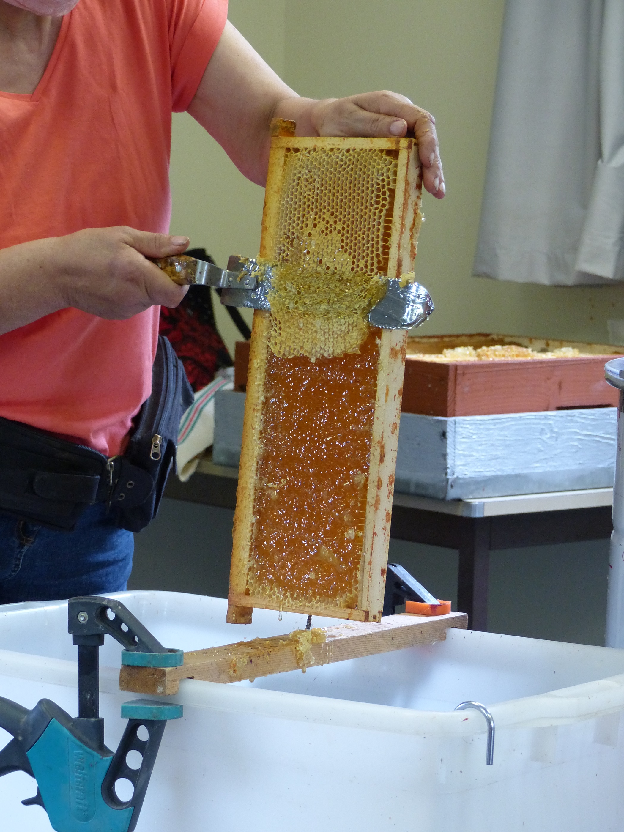 Extraction de miel Le 26 juil 2024