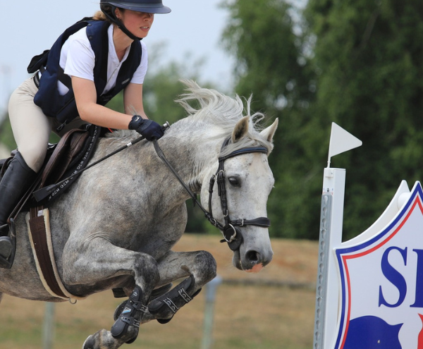 Concours CSO cycles libres et SHF poneys