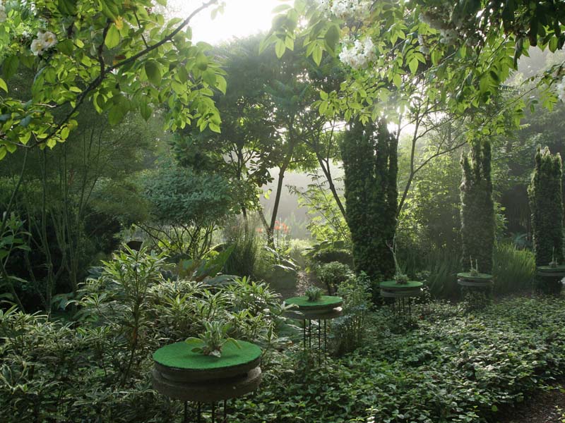 Jardin Intérieur à ciel ouvert ATHIS-VAL DE ROUVRE : Normandie