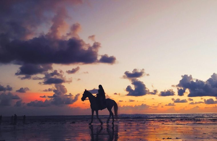 Promenade à cheval au coucher de soleil - débutant Du 13 avr au 22 août 2024